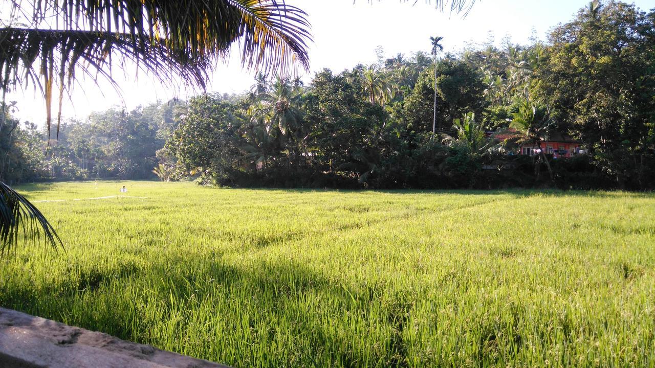 Villa Paddy Fields View Mirissa Eksteriør billede
